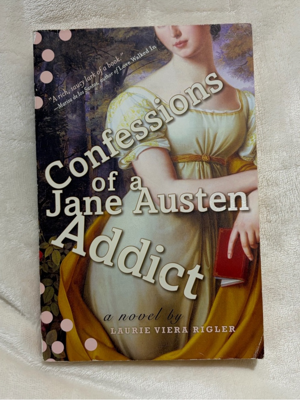 5/$7 📚 Confessions of a Jane Auston Addict (book)